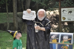20150707_104641_nikon-d5000