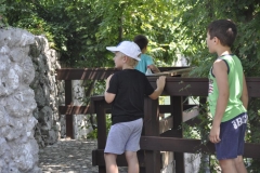 20150701_121753_nikon-d5000_ws