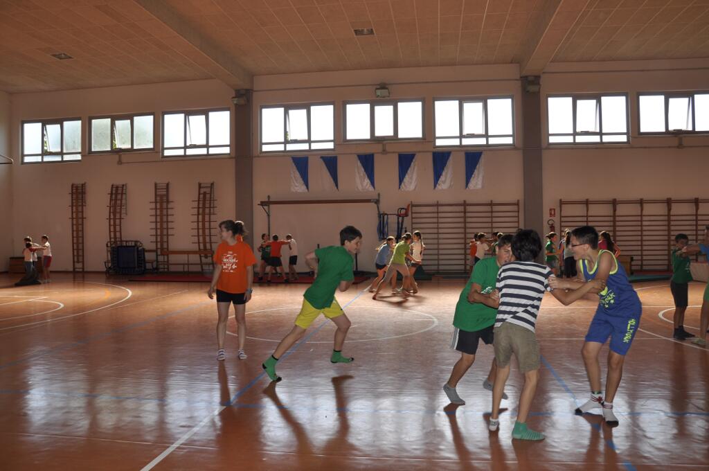20150626_090528_nikon-d5000_ws