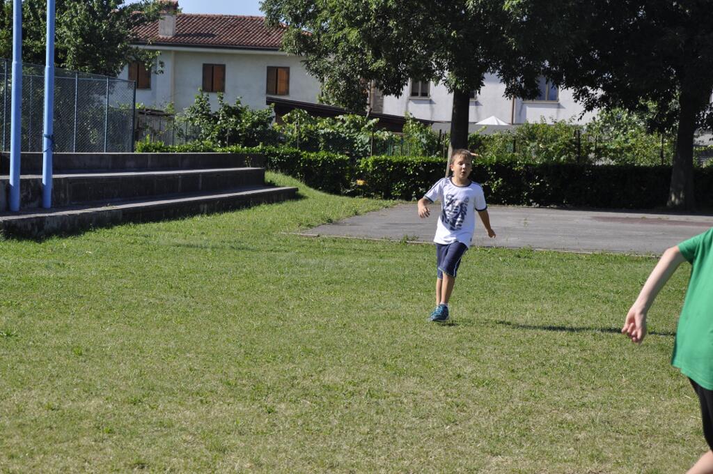 20150626_091346_nikon-d5000_ws