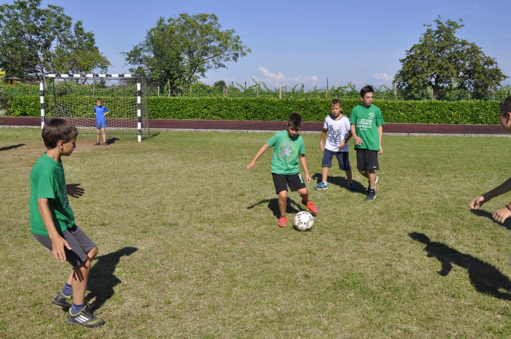 20150626_091454_nikon-d5000_ws