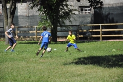 20150624_102255_nikon-d5000_ws