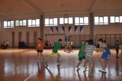 20150626_090528_nikon-d5000_ws