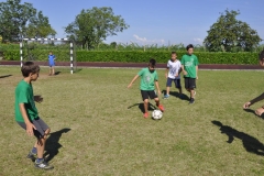 20150626_091454_nikon-d5000_ws