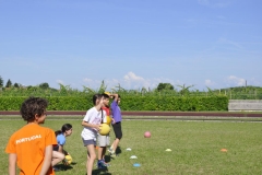 20150626_092029_nikon-d5000_ws