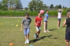 20150626_095903_NIKON D5000_WS